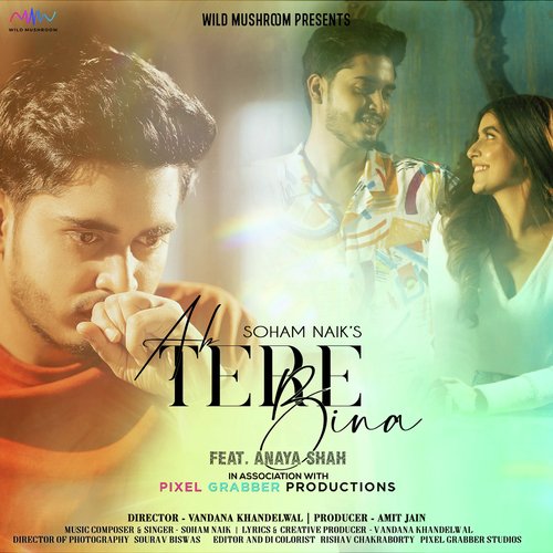 Ab Tere Bina Poster