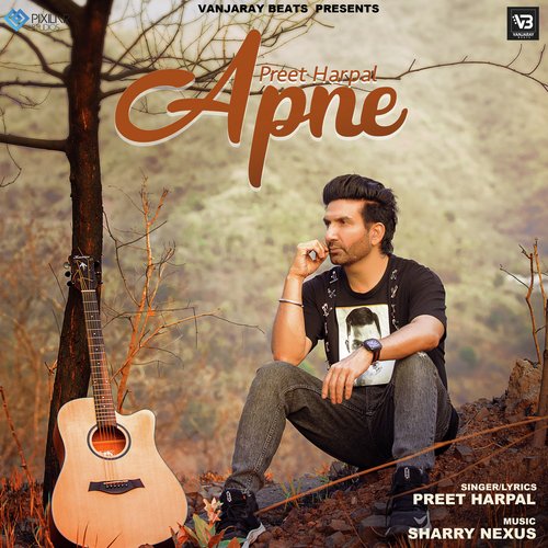 Apne Poster