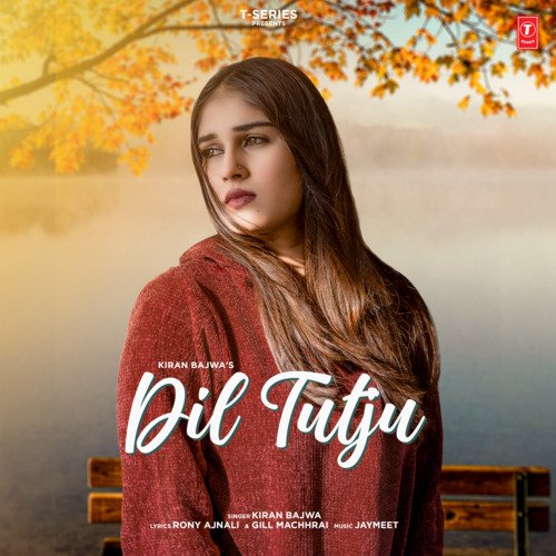 Dil Tutju Poster