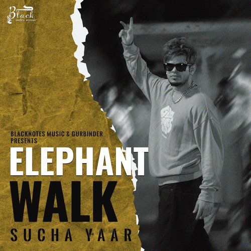 Elephant Walk Poster