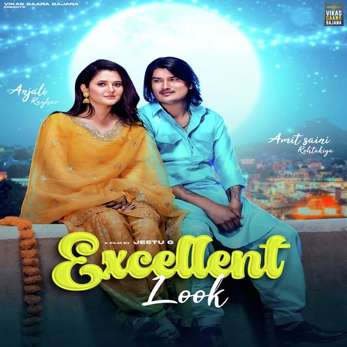 Excellent Look (feat. Anjali Raghav) Poster