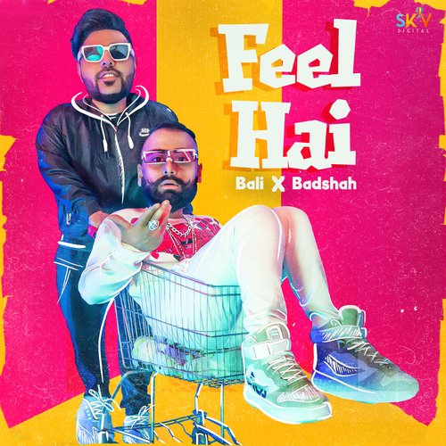 Feel Hai Poster