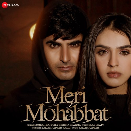 Meri Mohabbat Poster