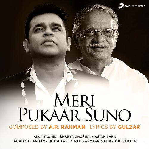 Meri Pukaar Suno Poster