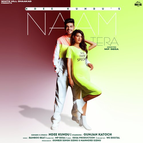 Naam Tera Poster