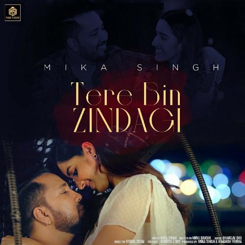 Tere Bin Zindagi Poster