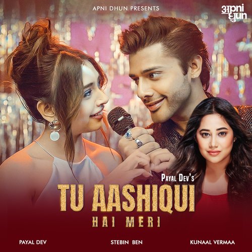 Tu Aashiqui Hai Meri Poster