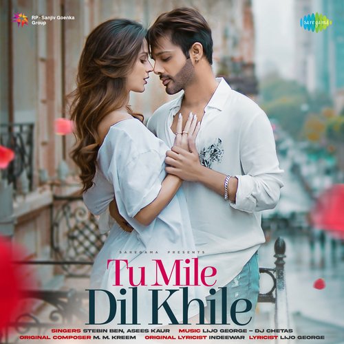 Tu Mile Dil Khile Poster