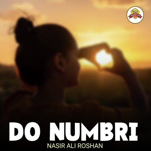 Do Numbri Poster