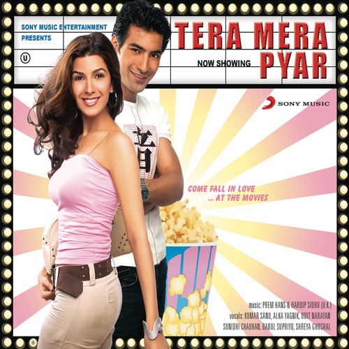 Dil Mere Poster