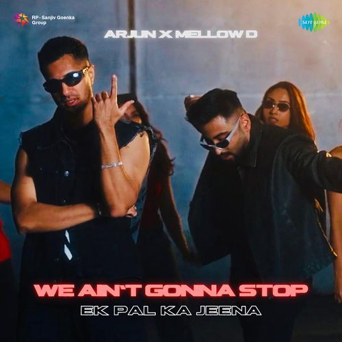 We Ain’t Gonna Stop (Ek Pal Ka Jeena ) Poster